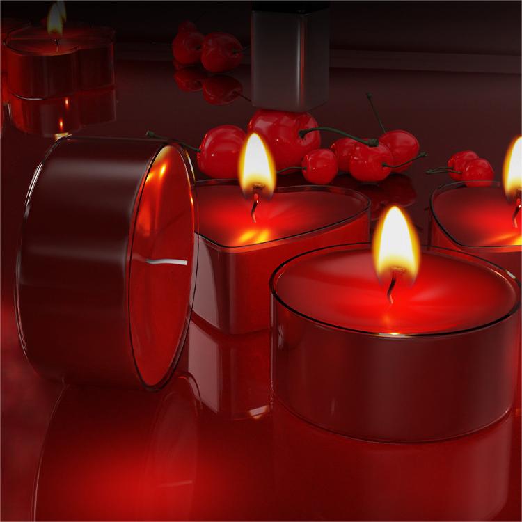 SM Candles Low Temperature Ant - Uv Inhibitor Candle 리뷰 및 가격