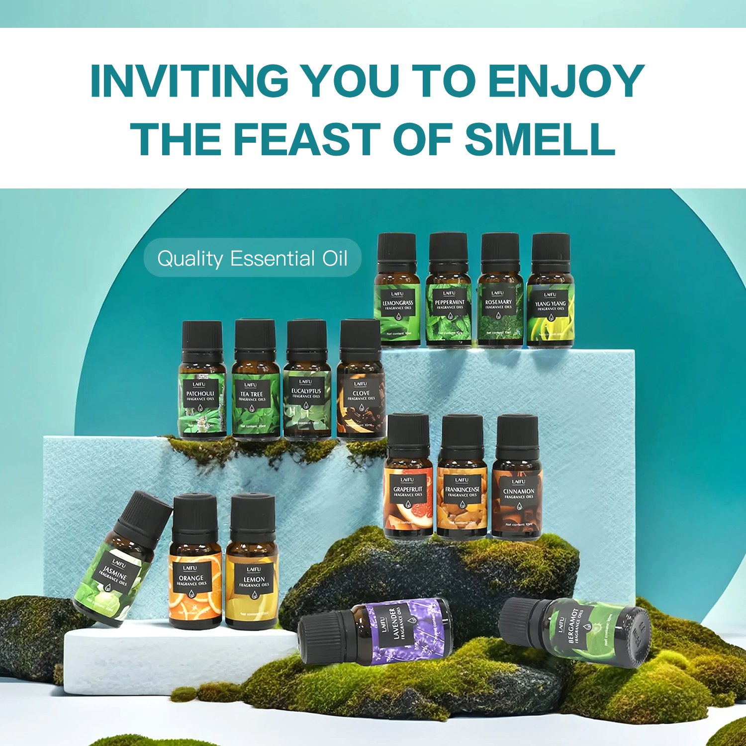16x10ml Essential Oils Set for - Candle Making Oils 리뷰 및 가격