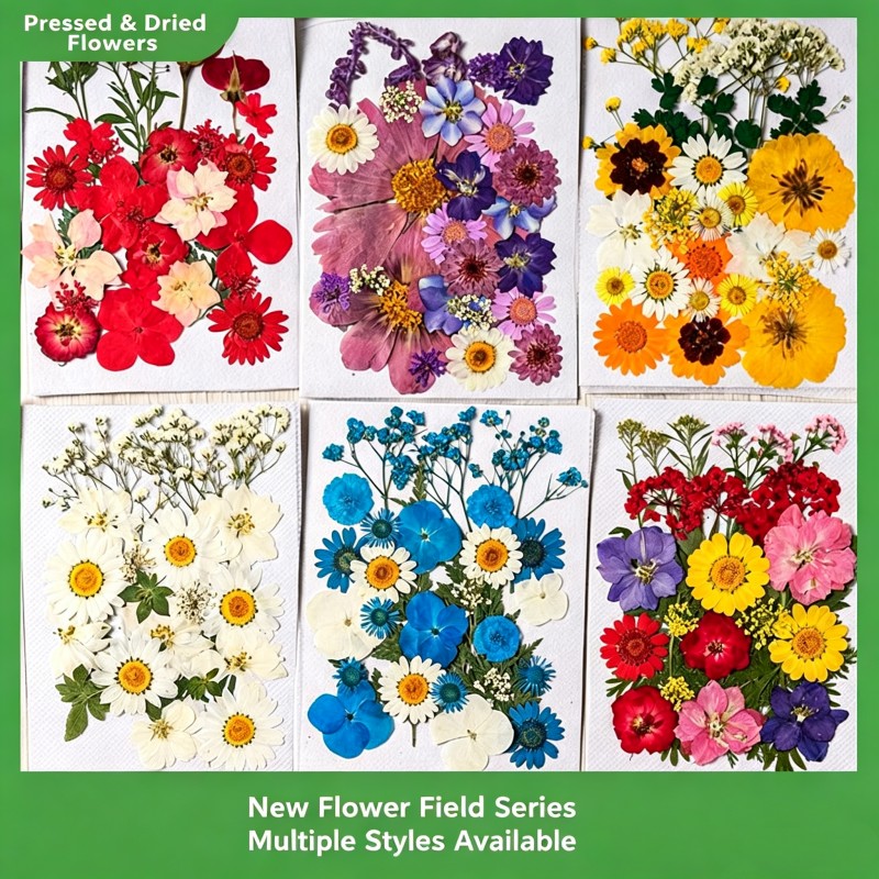 35Pcs10 Set of Dried Flowers a - Candle Making Set 리뷰 및 가격