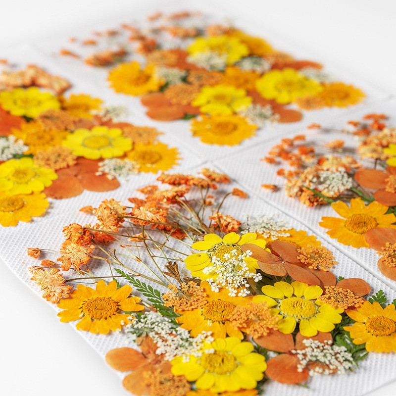 35Pcs10 Set of Dried Flowers a - Candle Making Set 리뷰 및 가격