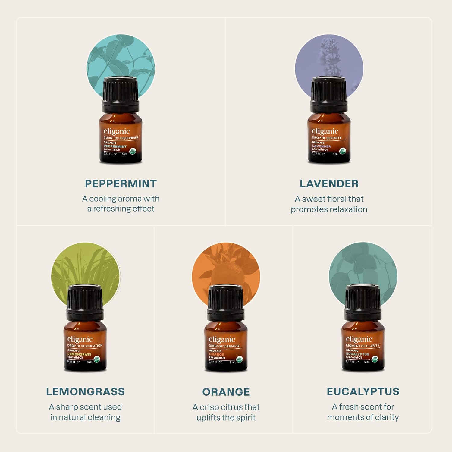 Top 5 Organic Essential Oils S - Candle Making Oils 리뷰 및 가격